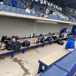 Williamsport Crosscutters Baseball Club - Home dugout