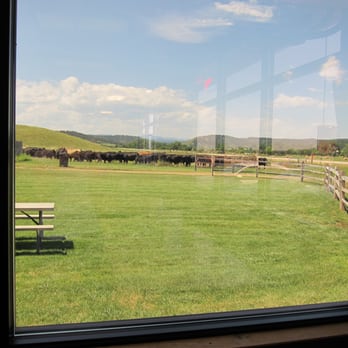 Lintz Bros Pizza - Looking out at the cows in the field. - Pizza Near Me - Hermosa, South Dakota Lintz Bros Pizza - Looking out at the cows in the field. - Pizza Near Me - Hermosa, South Dakota