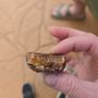 Photo of Ethel M Chocolate Factory Tour