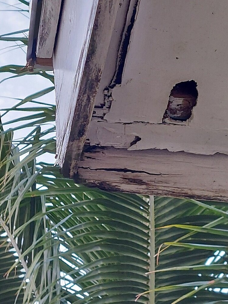 Slide of Big G Roofing & More