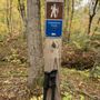 Photo of Holliday Lake State Park