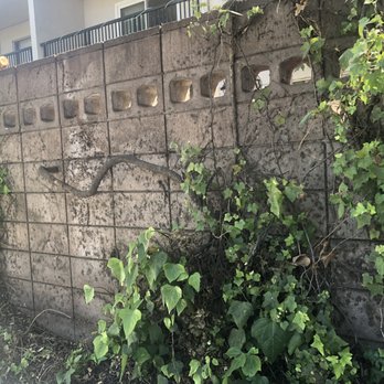 Hudson Management Company - Front wall. We have Halloween here every day. Can't get any improvements to this. Has been this way for the 20 years I have lived here. - Property Management Near Me - Pleasant Hill, California Hudson Management Company - Front wall. We have Halloween here every day. Can't get any improvements to this. Has been this way for the 20 years I have lived here. - Property Management Near Me - Pleasant Hill, California