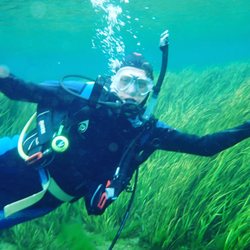 Divers At Sea