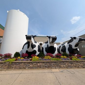 Ashe County Cheese - Cheese Shops Near Me - West Jefferson, North Carolina