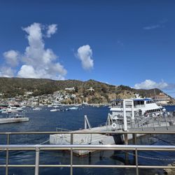 Catalina Flyer - arriving avalon