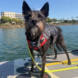 Uncle Rico enjoying his paddleboard experience with Sam and SUP Pups!