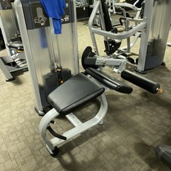 The Zoo Health Club - Lying leg curl machine (precor)