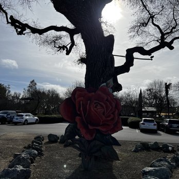 Sculpterra Winery & Sculpture Garden - A rose to greet the guests! - Wine Tasting Room Near Me - Paso Robles, California Sculpterra Winery & Sculpture Garden - A rose to greet the guests! - Wine Tasting Room Near Me - Paso Robles, California