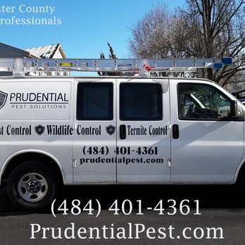 Prudential Pest Solutions - Pest Control Chester County - Pest Control Near Me - Shillington, Pennsylvania Prudential Pest Solutions - Pest Control Chester County - Pest Control Near Me - Shillington, Pennsylvania