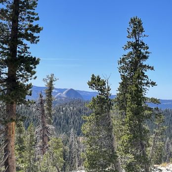 May Lake - View of Half Dome. - Hiking Near Me - Yosemite National Park, California May Lake - View of Half Dome. - Hiking Near Me - Yosemite National Park, California