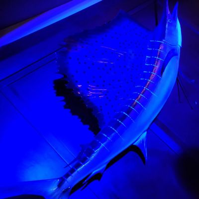 Casablanca Waterfront Bar and Grill by null