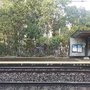 Photo of Wentworth Park Light Rail