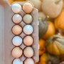 Photo of Orem Farmers Market