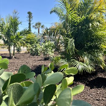 Florida Lawn Care Experts - Lawn Services Near Me Florida Lawn Care Experts - Lawn Services Near Me