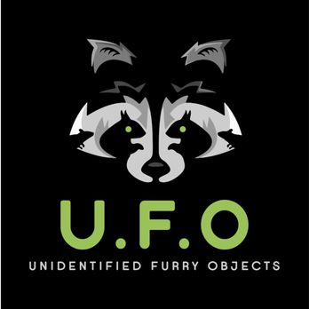 UFO Nuisance Wildlife Control - Unidentified Furry Objects Logo - Wildlife Control Near Me UFO Nuisance Wildlife Control - Unidentified Furry Objects Logo - Wildlife Control Near Me