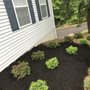 Photo of All American Land and Lawn Care