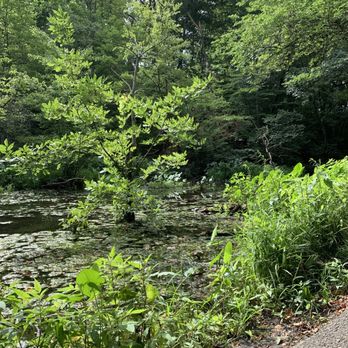 Dora Kelley Nature Park - Parks Near Me - Alexandria, Virginia
