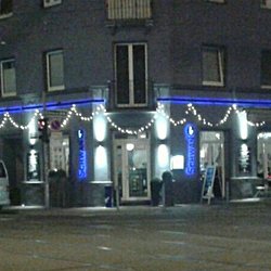 Schwan - Schwan aussen bei Nacht