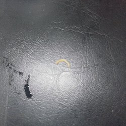 This is a human finger nail that was in my soup