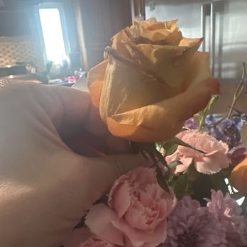 Gaeta's Flowers - Old roses shriveling and turning brown - Florists Near Me - Los Gatos, California Gaeta's Flowers - Old roses shriveling and turning brown - Florists Near Me - Los Gatos, California