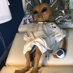 Area 51 PC - The specimen