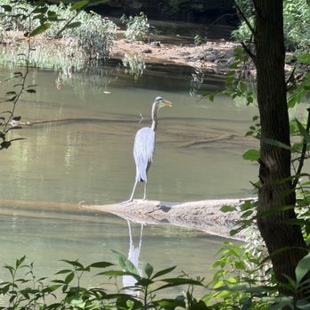 Clifton Gorge - Hiking Near Me - Yellow Springs, Ohio Clifton Gorge - Hiking Near Me - Yellow Springs, Ohio