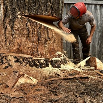 Woodsong Tree Company - humboldt cut - Tree Services Near Me Woodsong Tree Company - humboldt cut - Tree Services Near Me
