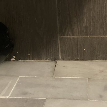 Kung Fu Tea - Floor - Bubble Tea Near Me - Charlottesville, Virginia
