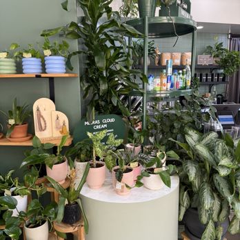 Meera Coffee & Plants - Plants - Creperies Near Me - Simi Valley, California Meera Coffee & Plants - Plants - Creperies Near Me - Simi Valley, California