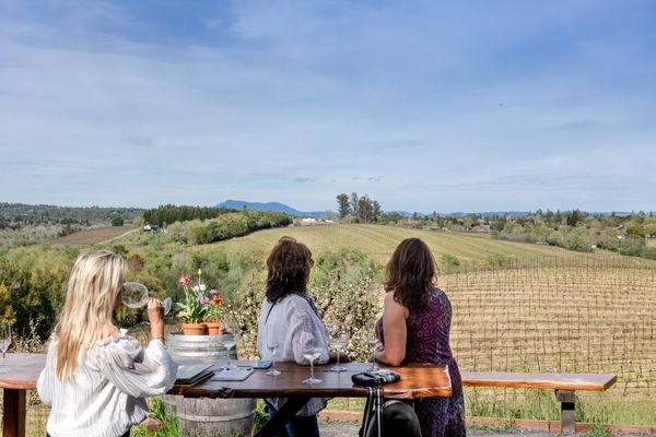 Iron Horse Vineyards by null