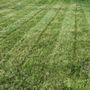 Photo of Smith's Lawn Care and Pressure Washing