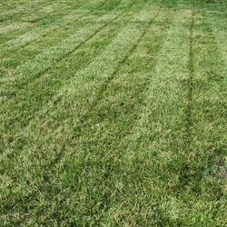 Smith's Lawn Care and Pressure Washing