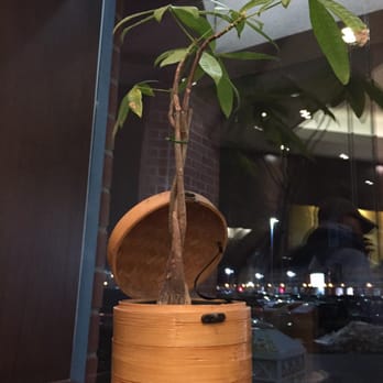 Xiao Long Bao - Dim Sum Near Me - Markham, Ontario