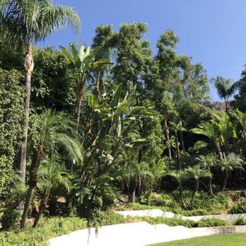 Acosta Tree Service - Tree Services Near Me Acosta Tree Service - Tree Services Near Me