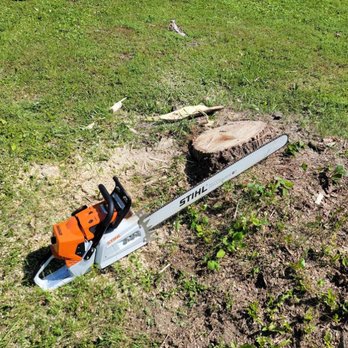 L&S Forestry Services - Tree Services Near Me L&S Forestry Services - Tree Services Near Me