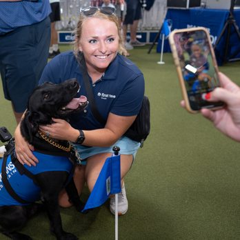 All-Star Dog Training - Pet Training Near Me - Apex, North Carolina
