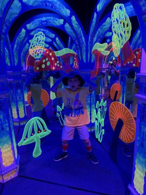 Magowan's Infinite Mirror Maze by null