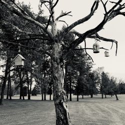 Hidden Greens Golf Course