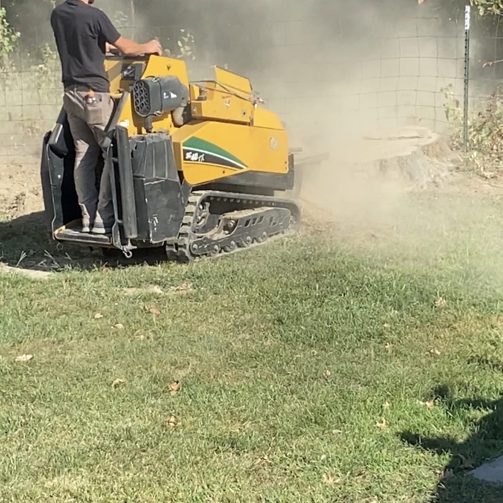 S & S Stump Grinding - Tech at Work
A+ Service - Tree Services Near Me - Chesterton, Indiana S & S Stump Grinding - Tech at Work
A+ Service - Tree Services Near Me - Chesterton, Indiana