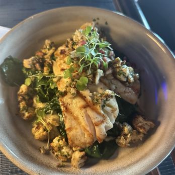 1000 NORTH - Grilled Market Fish - Bars Near Me - Jupiter, Florida