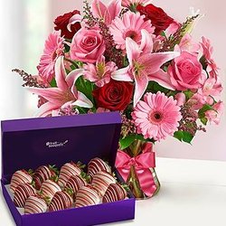 Forget Me Not Flowers - Field of Europe for romance with chocolate covered Berries