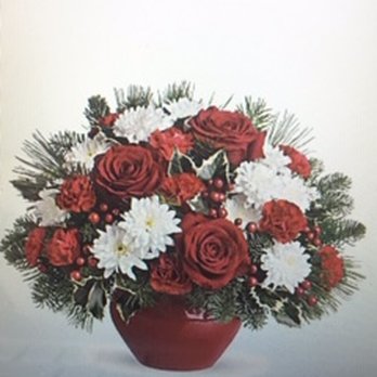 Pesche's Flowers - Here's the actual "Christmas Treasure-Deluxe" flower I ordered from Teleflora. - Nurseries & Gardening Near Me - Des Plaines, Illinois Pesche's Flowers - Here's the actual "Christmas Treasure-Deluxe" flower I ordered from Teleflora. - Nurseries & Gardening Near Me - Des Plaines, Illinois