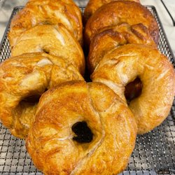Powered By Bagels - EGG