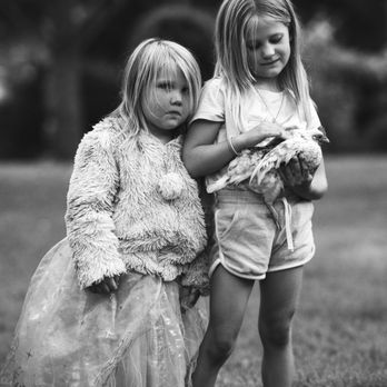 Daniel Rosenthal Photography - Sisters and their chicken. - Video/Film Production Near Me Daniel Rosenthal Photography - Sisters and their chicken. - Video/Film Production Near Me