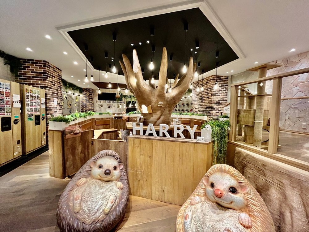Hedgehog Cafe HARRY YOKOHAMA