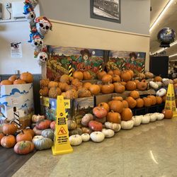 Vons