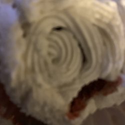 Best Cake Kosher Bakery - I poked it and it was hard- Velvet cup...