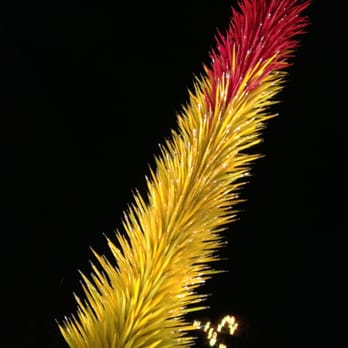 Las Noches de Las Luminarias - Stunning Chihuly! - Festivals Near Me - Phoenix, Arizona