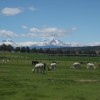 Crescent Moon Ranch - Ranches Near Me - Terrebonne, Oregon Crescent Moon Ranch - Ranches Near Me - Terrebonne, Oregon