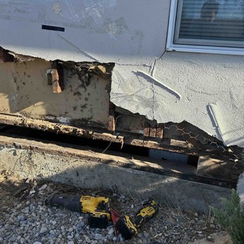 Pacific Coast Termite - When they started working on it - Pest Control Near Me - Fremont, California Pacific Coast Termite - When they started working on it - Pest Control Near Me - Fremont, California